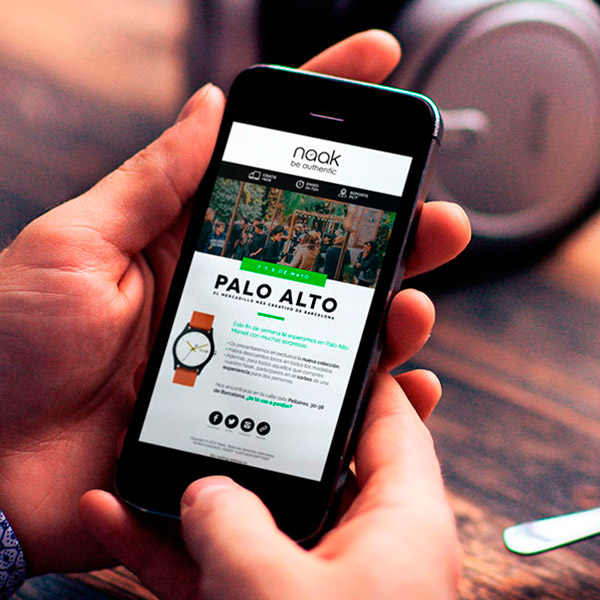 Diseño boletin marca de relojes